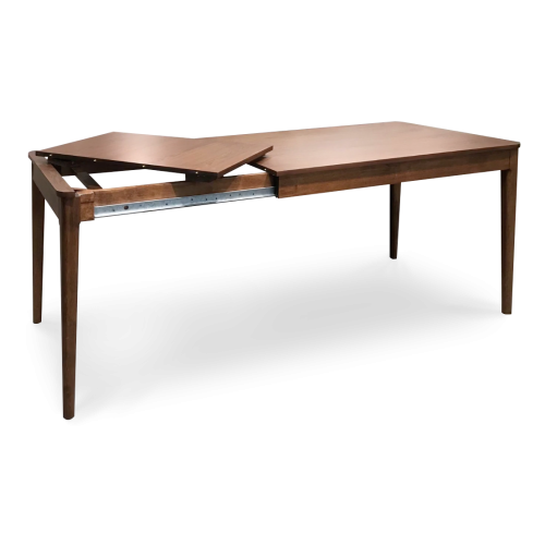 IRIS EXTENSION TABLE